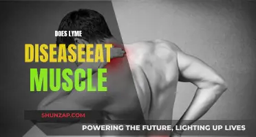 Lyme Disease: Can It Cause Muscle Loss?