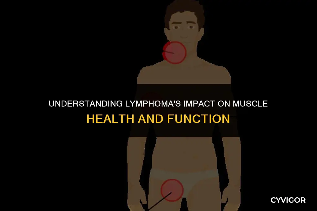 does lymphoma affect muscles