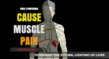Lymphoma and Muscle Pain: Is There a Link?