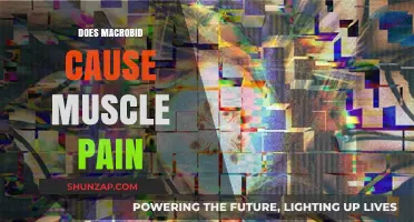 Macrobid Side Effects: Muscle Pain Explained