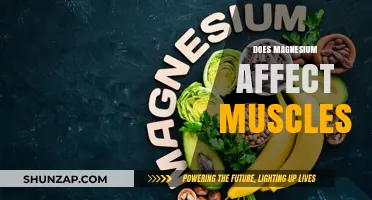 Exploring the Impact of Magnesium on Muscle Health and Function