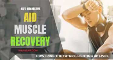 Magnesium's Role in Muscle Recovery: What You Need to Know