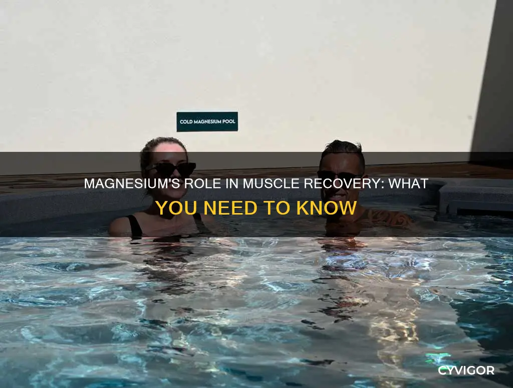 does magnesium aid muscle recovery