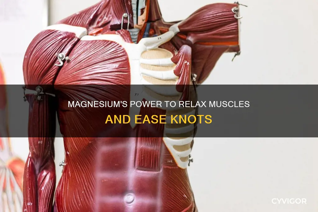 does magnesium alleviate muscle knots