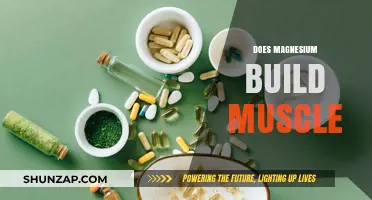 Unlocking Muscle Growth: The Power of Magnesium Revealed