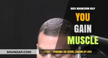 Magnesium's Role in Muscle Growth: Fact or Fiction?