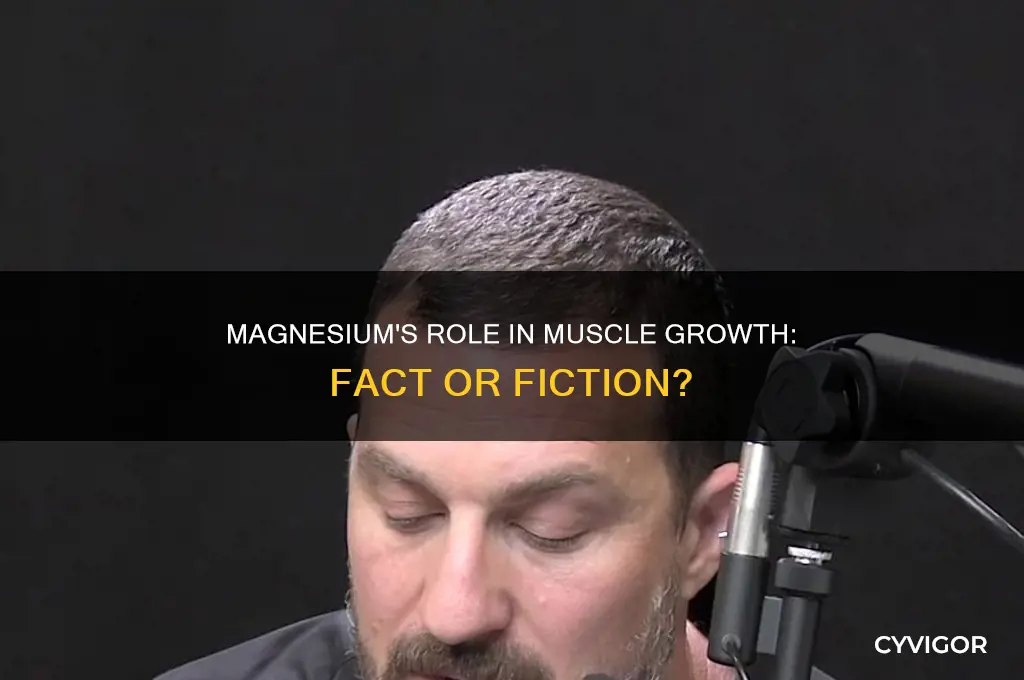 does magnesium help you gain muscle