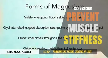 Magnesium: A Natural Remedy for Muscle Stiffness and Soreness