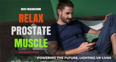 Magnesium's Role in Relaxing Prostate Muscle: Fact or Fiction?