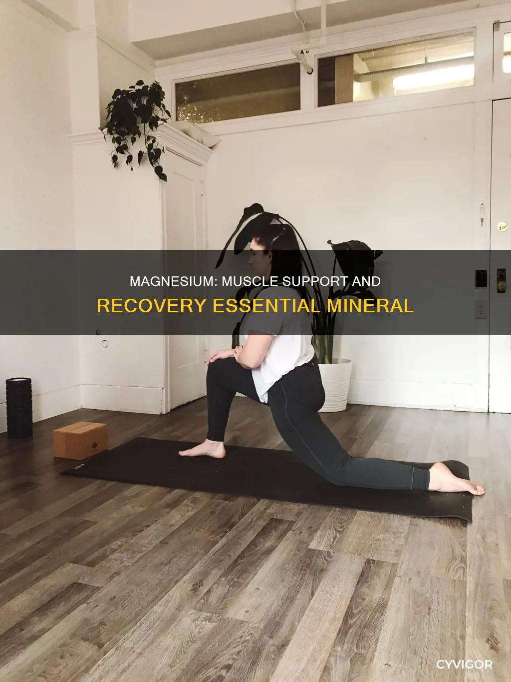 does magnesium support muscle