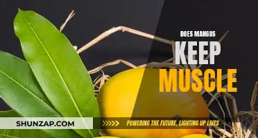 Mangos: Muscle-Friendly Fruit for a Healthy Body