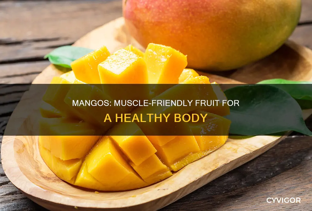 does mangos keep muscle