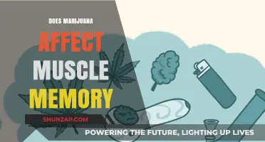 Exploring the Impact of Marijuana on Muscle Memory: A Comprehensive Guide