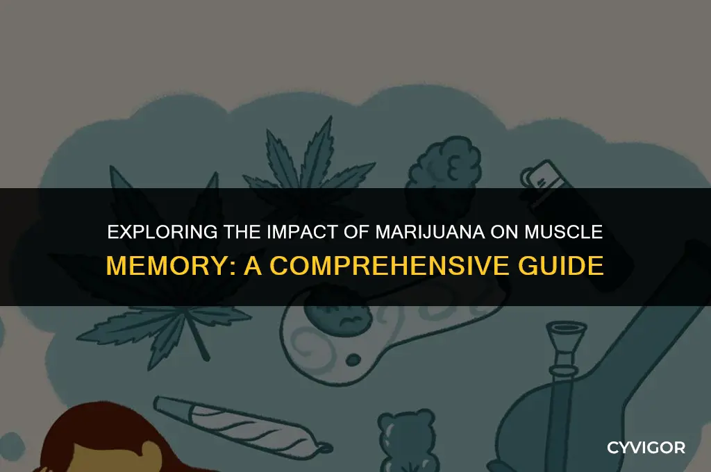 does marijuana affect muscle memory