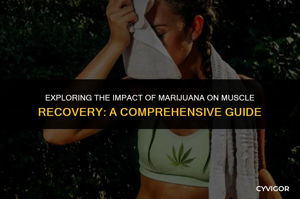 does marijuana affect muscle recovery