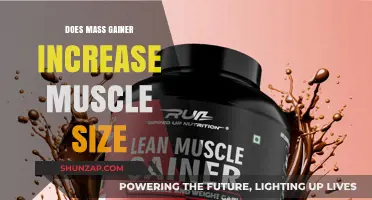 Does Mass Gainer Increase Muscle Size? Facts and Myths Explained