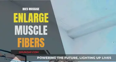 Massage Therapy: Can It Boost Muscle Fiber Growth?