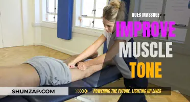 Massage Therapy: Enhancing Muscle Tone and Flexibility