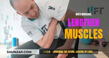 Massage Therapy: Can It Lengthen Your Muscles?