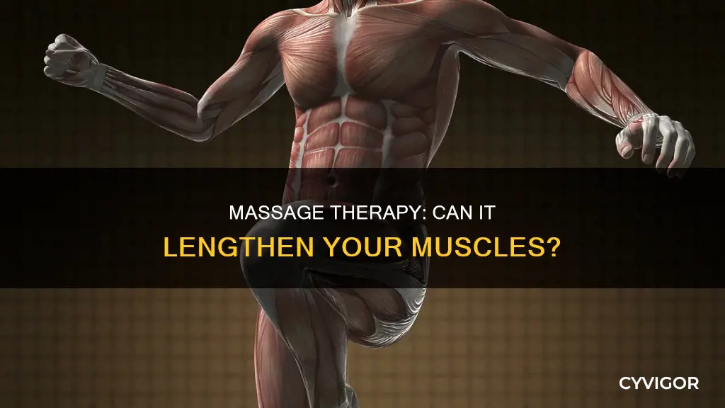 does massage lengthen muscles