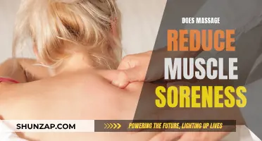 Massage Therapy: Reducing Muscle Soreness and Improving Recovery