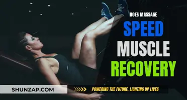 Massage Therapy: Muscle Recovery Aid and Performance Enhancer