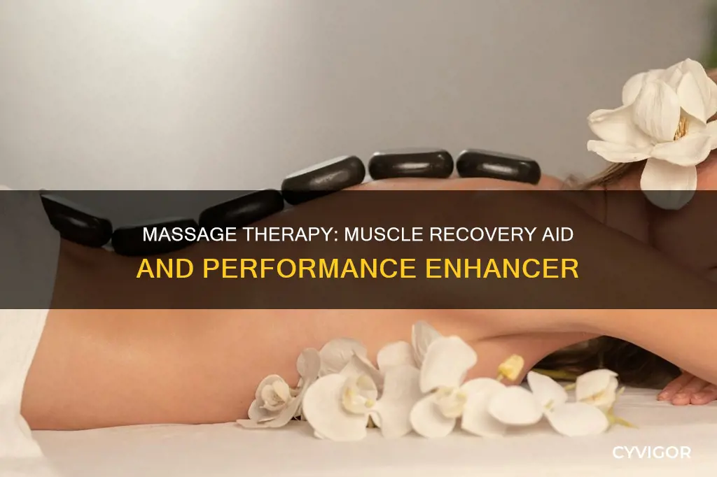 does massage speed muscle recovery