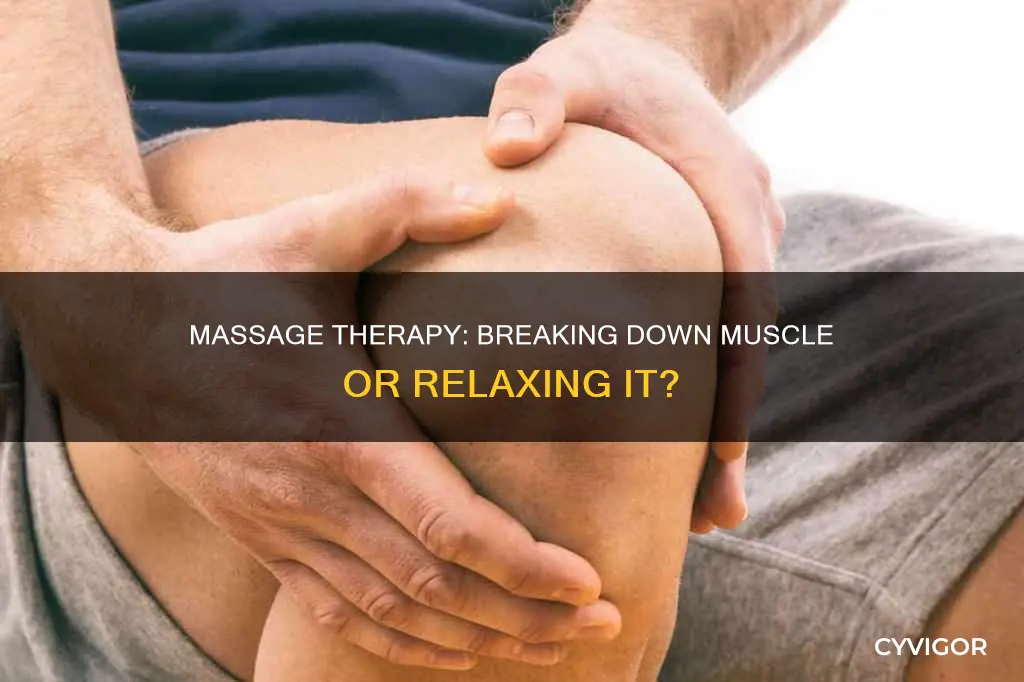 does massaging break down muscle