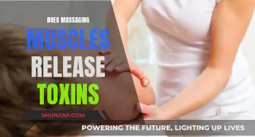 Muscle Massage: Toxin Release or Myth?
