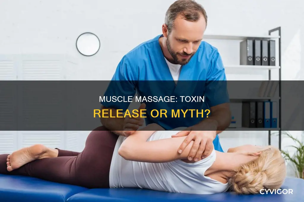 does massaging muscles release toxins