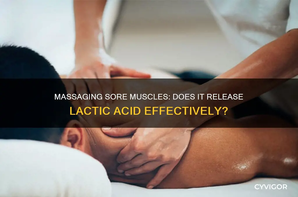 does massaging sore muscles release lactic acid