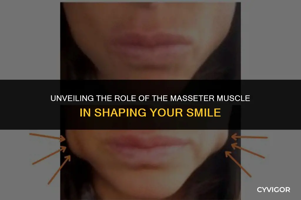 does masseter muscle affect smile