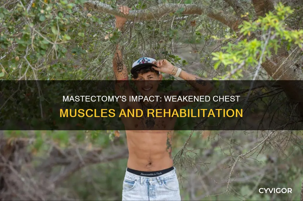 does mastectomy weaken chest muscles
