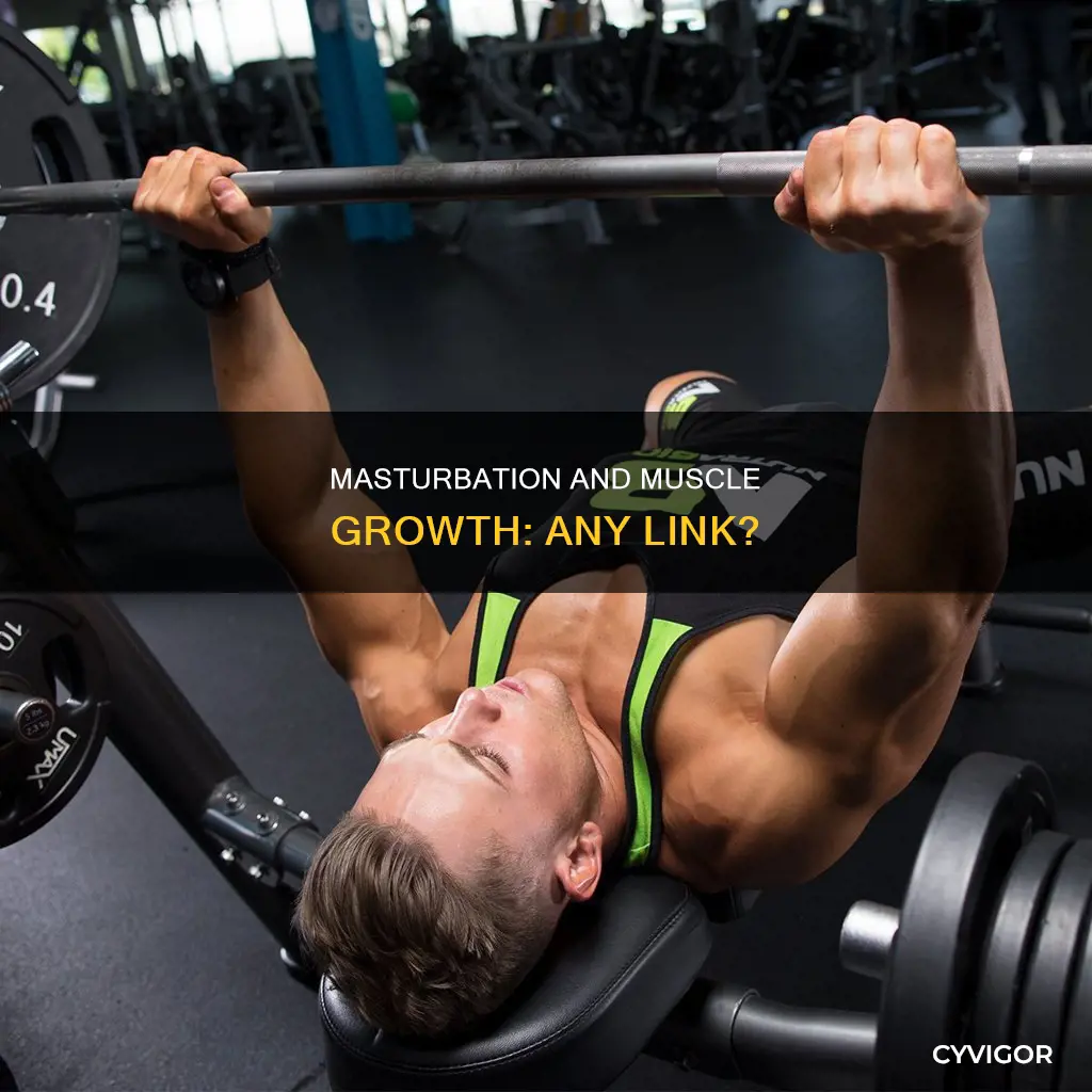 does masterbaitng effect muscle grwoth