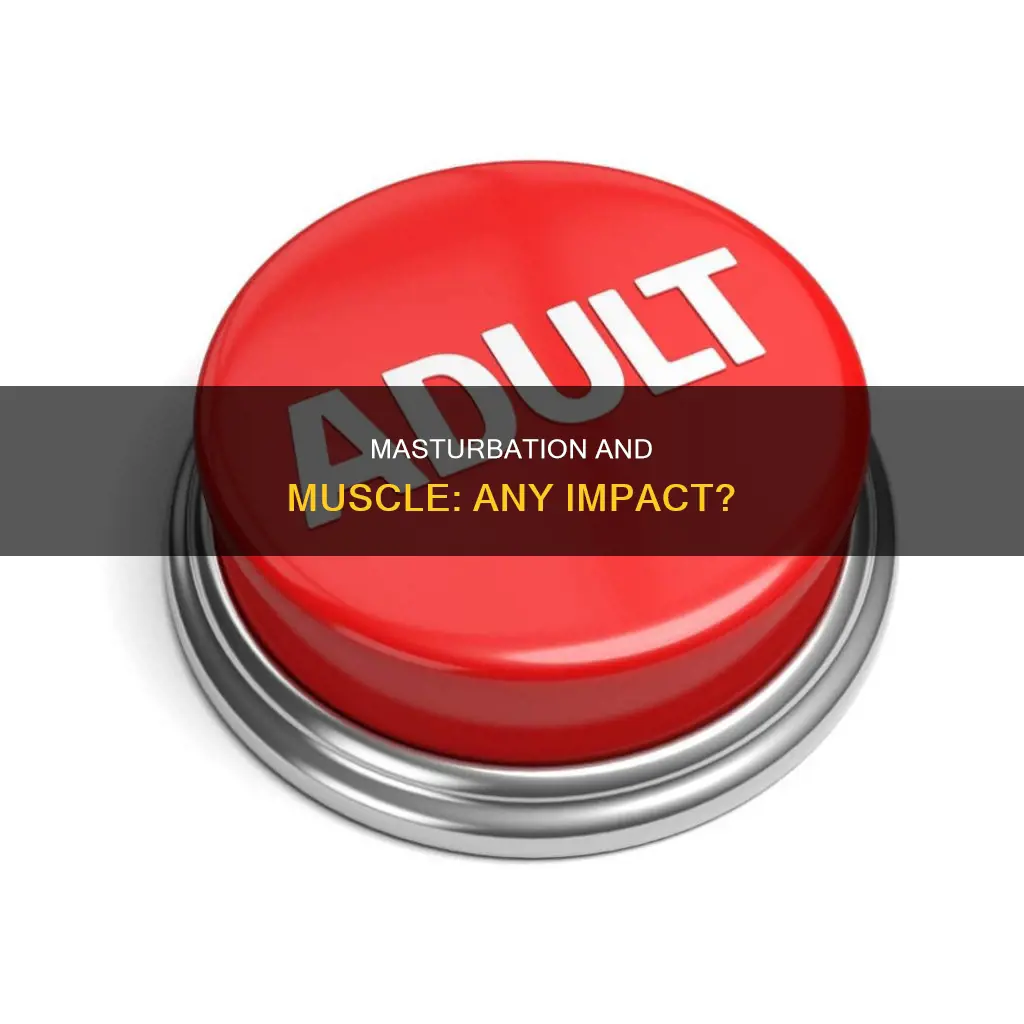 does mastrubation effect muscle
