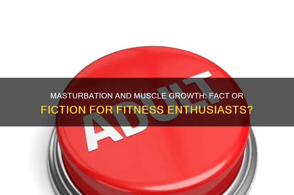 does masturbation affect muscle growth when working out