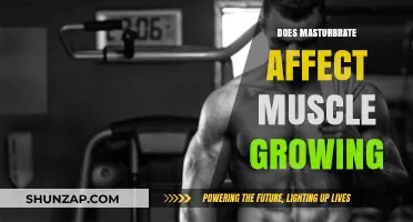 Masturbation and Muscle Growth: Debunking Myths and Understanding the Impact
