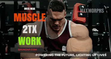 Max Muscle 2TX Review: Does It Deliver Results for Muscle Growth?