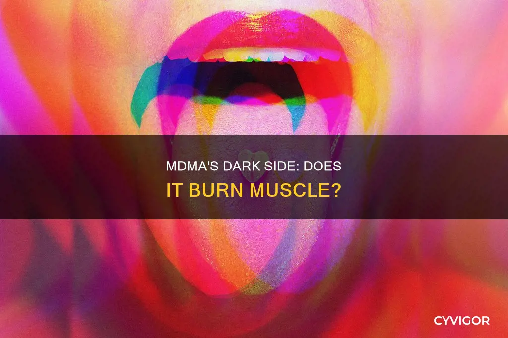 does mdma burn muscle
