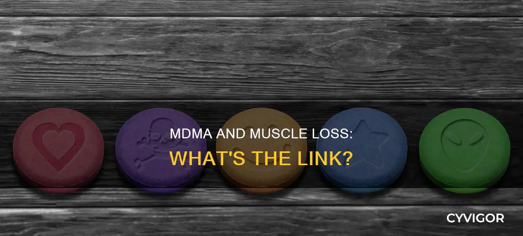 does mdma cause muscle loss