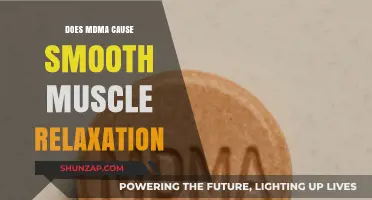 MDMA's Impact: Smooth Muscle Relaxation