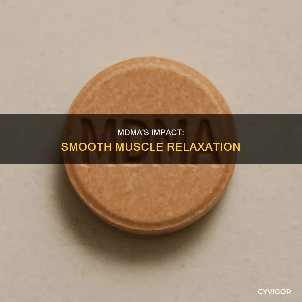 does mdma cause smooth muscle relaxation