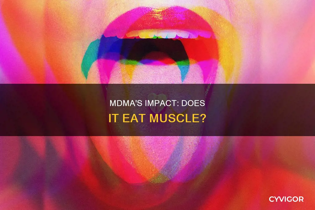 does mdma eat muscle