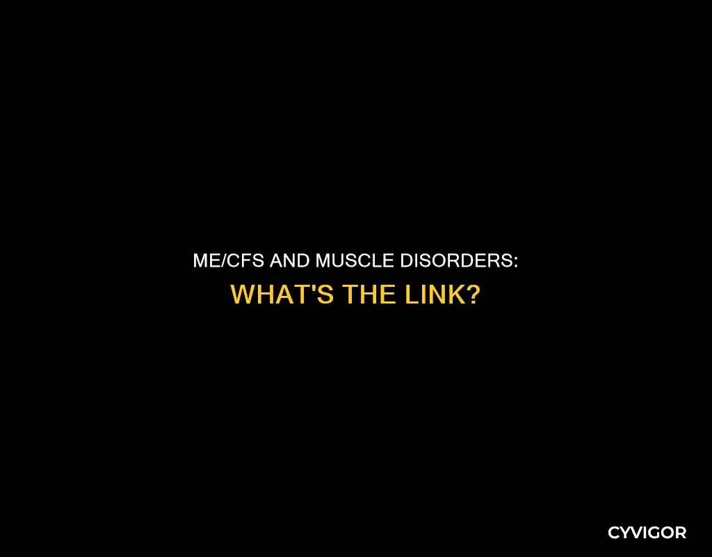 does me cfs cause muscle disorders