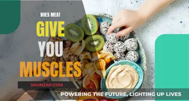 Meat and Muscles: The Protein Power Myth Explained
