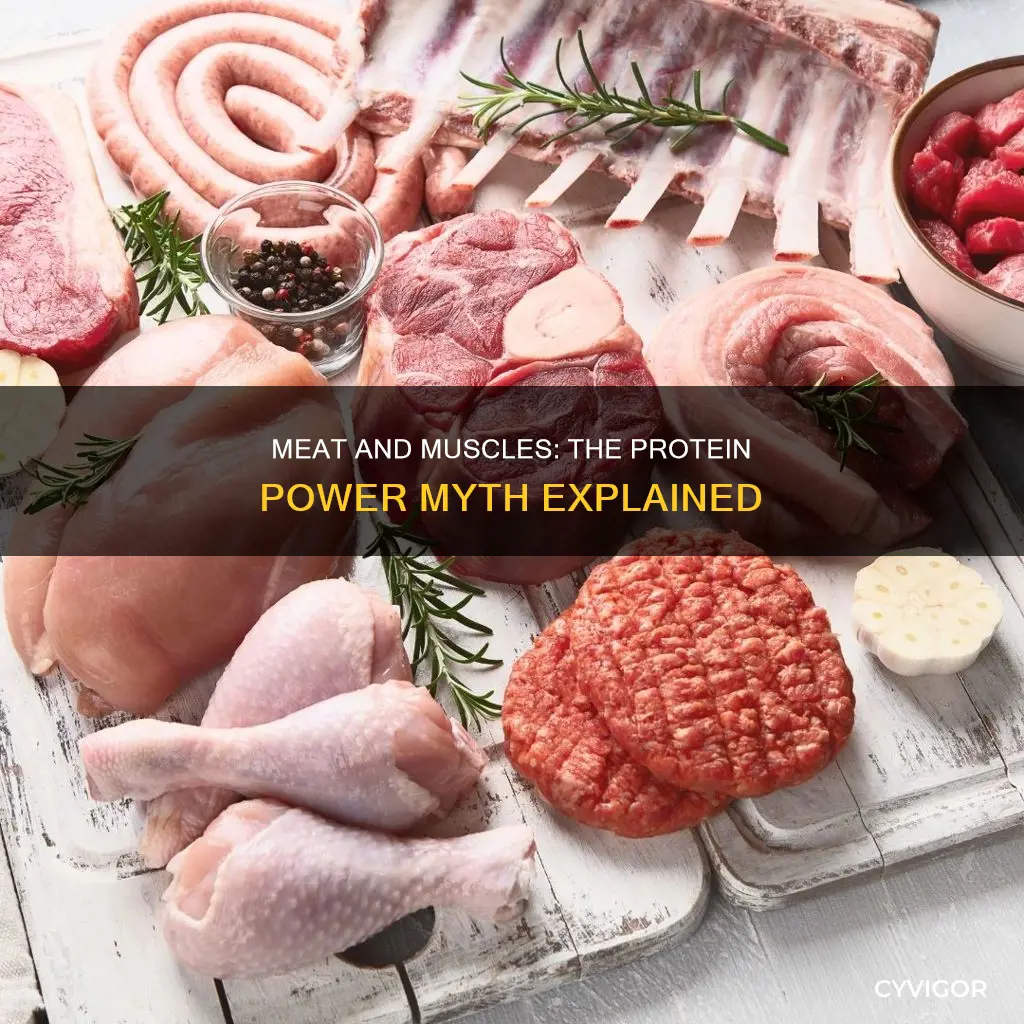 does meat give you muscles