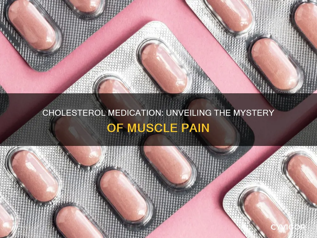does medicine for cholesterol cause muscle pain