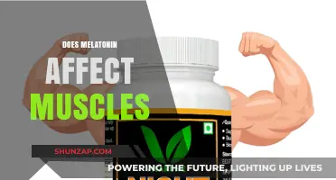 Exploring Melatonin's Impact on Muscle Health and Recovery