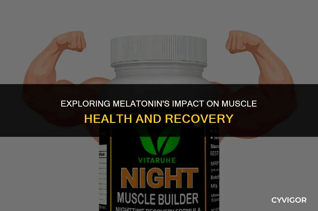 does melatonin affect muscles