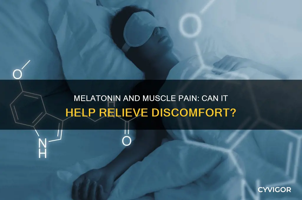 does melatonin work if you have muscle pain